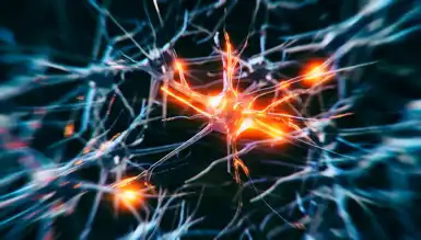 Kan Testiyle Alzheimer Erken Teşhisi Mümkün Mü?
