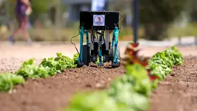 Tarım Robotları Yarışıyor!